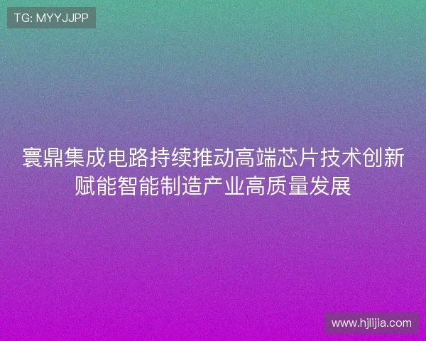 寰鼎集成电路持续推动高端芯片技术创新赋能智能制造产业高质量发展